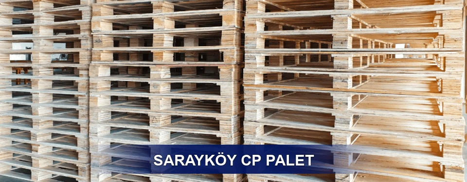 Sarayköy Standart Tipler