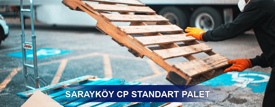 Sarayköy Fiyatlandırma