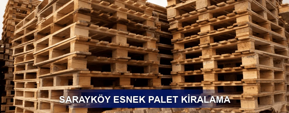 Sarayköy Fiyatlandırma